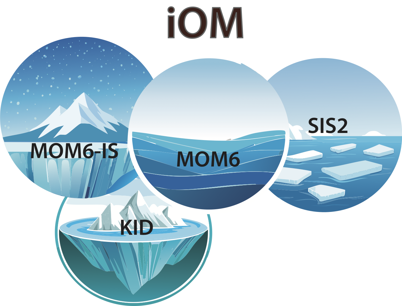 iOM schematic